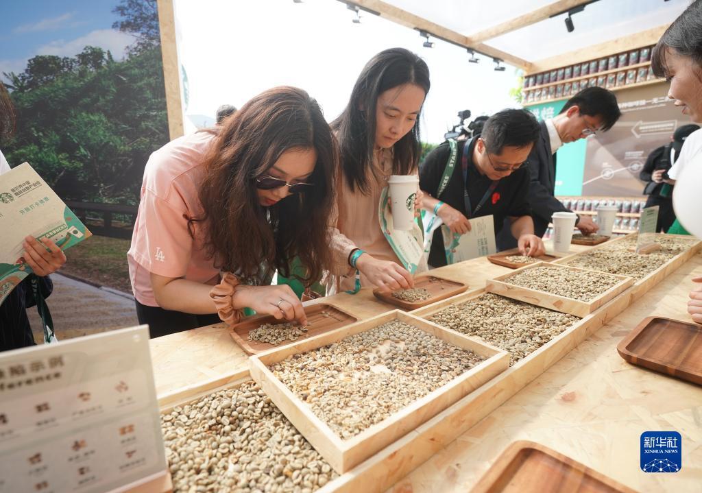 掌上棋牌官网